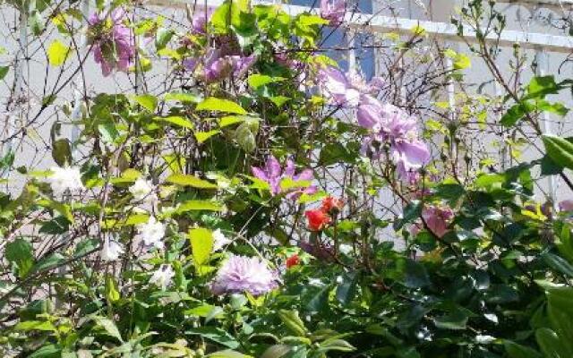 Chambre Avec Jardin Pierre Curie