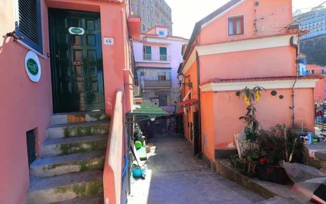 Dragon Fly Sorrento