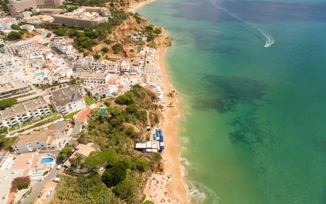 Superb Apartments 2 Bedroom