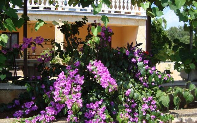 Apartments Alice Green Oasis -