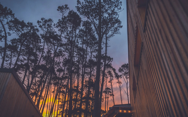 Wanderlust José Ignacio