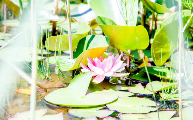 Geographer´s Cottage