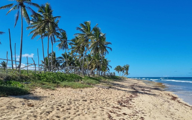 Luxury House Bungalow and apartments La Botánica Tropical