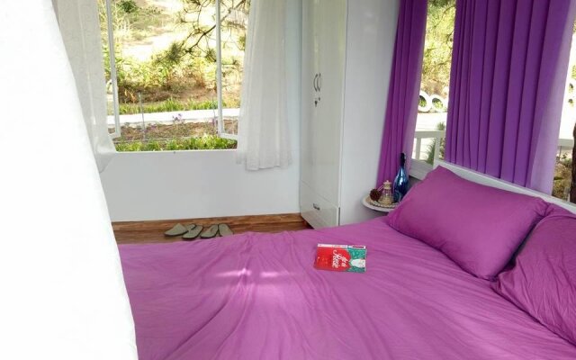 Pine Hill Homestay Dalat