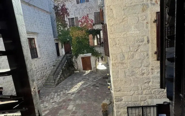 Vita Mundo