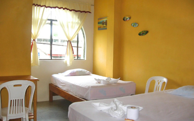 Amazon House Hostel