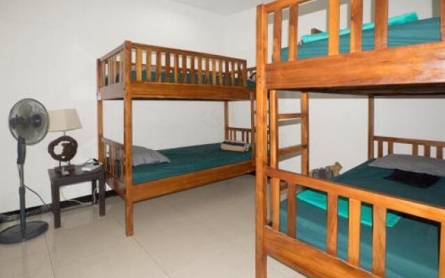 Timor Backpackers