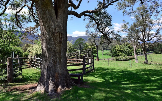 The Laurels B&B Kangaroo Valley