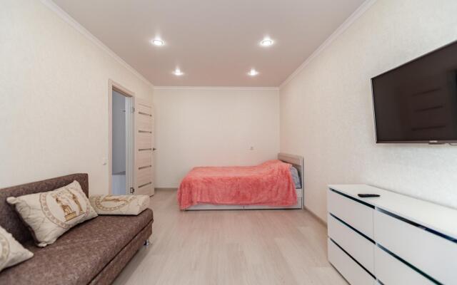 Apartment on Chistopolskaya