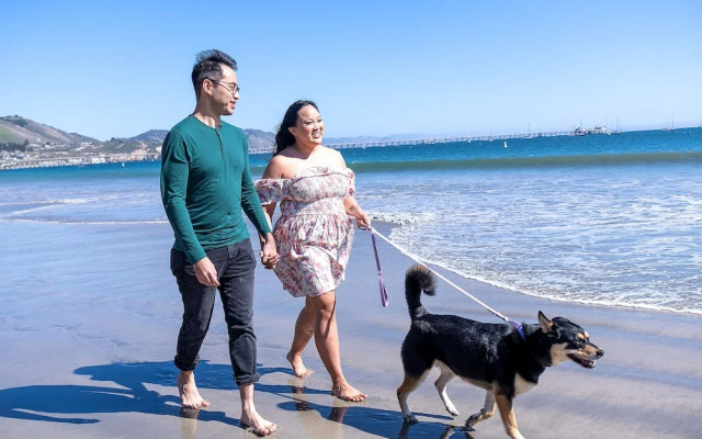 Flying Flags Avila Beach