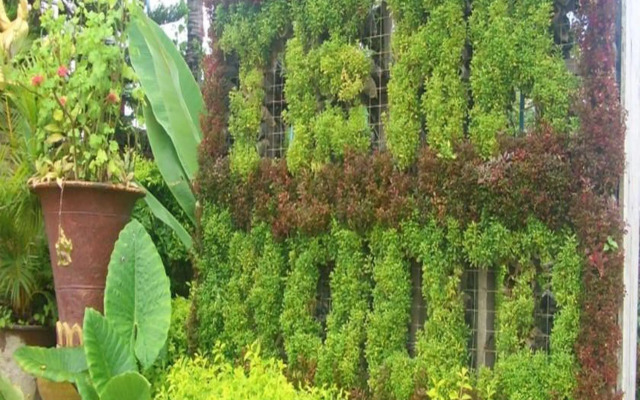 Teak Wood Hotel