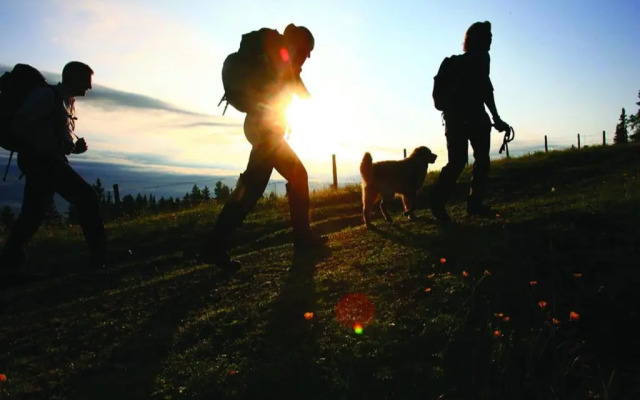 Wohlfühlpension Egger-Feiel