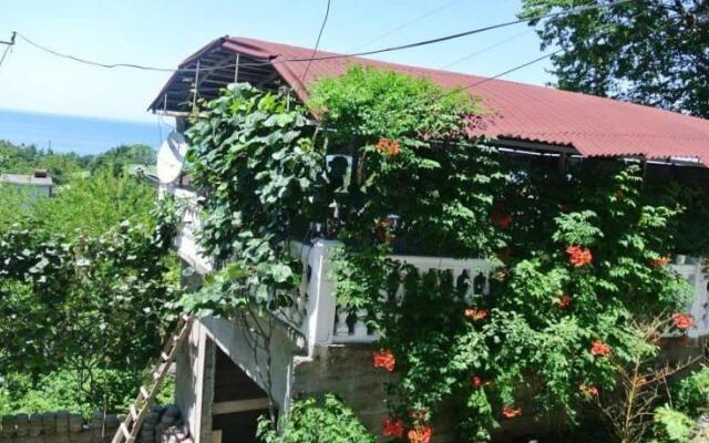 Hotel Badu