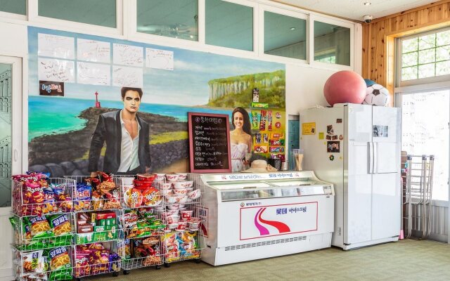 Olleh Windmill Pension & Guesthouse - Hostel