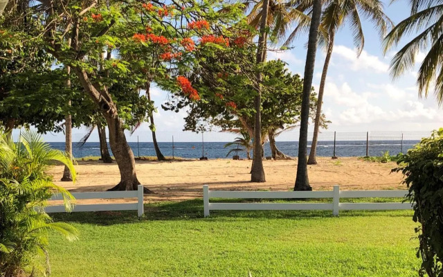 Beautiful Ground Floor, Seaside Studio Flat