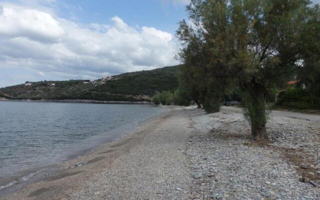 The Small House in the Olive Grove
