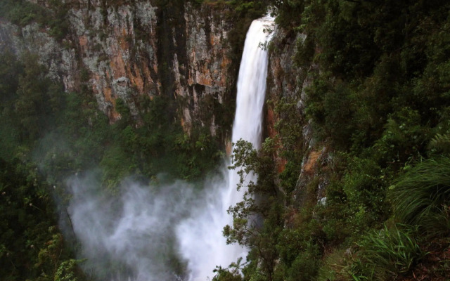 Springbrook Lyrebird Retreat
