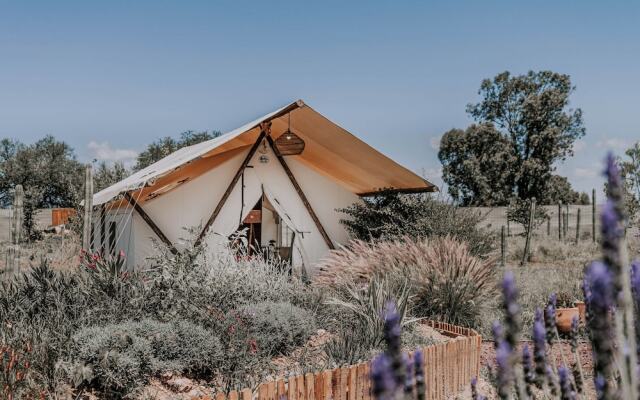 Salterra Glamping