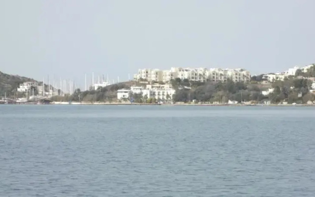 Turkey-Heaven 9