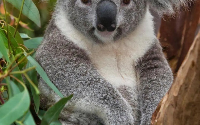 Seabreeze Haven -Wifi, Netflix, pet friendly beach house