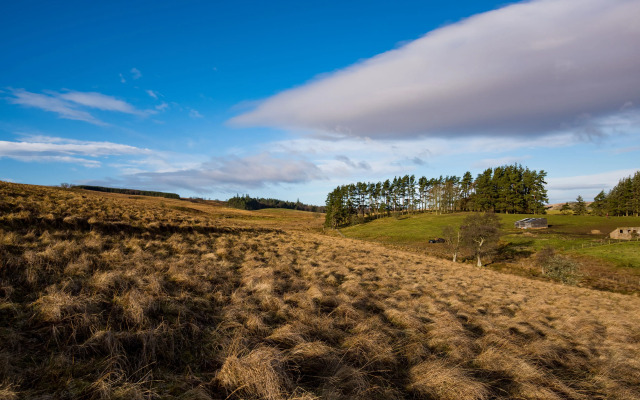 Brown Rigg Guest Rooms