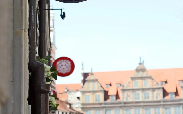 Medusa Gdańsk