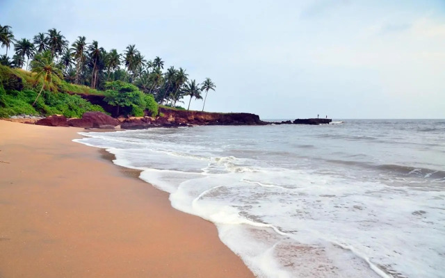 Ocean Green Kerala