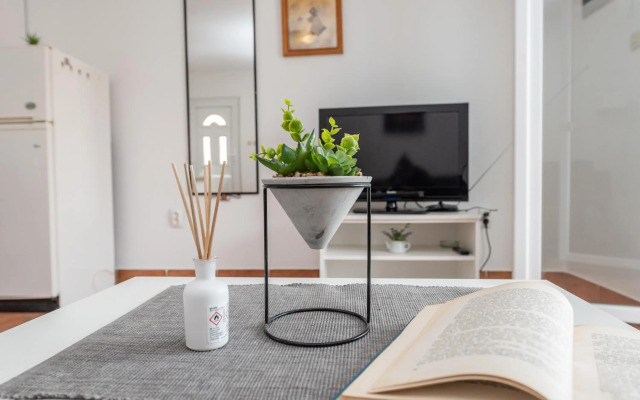 Vesna 1 city central apartment