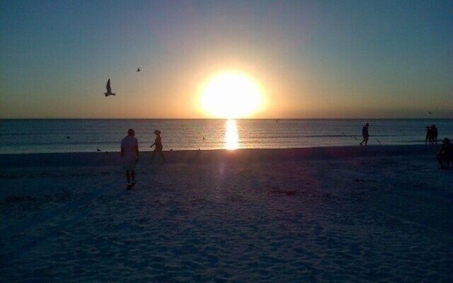 Midnight Cove Ii 932c -spectacular View-updated 2 Bedroom Condo