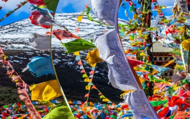 Gangka Yundi • Serene | Tibetan Aesthetics | Cloud Prairie Scenic Oxygen Supply Luxury Homestay – Entertainment – Shangri-La