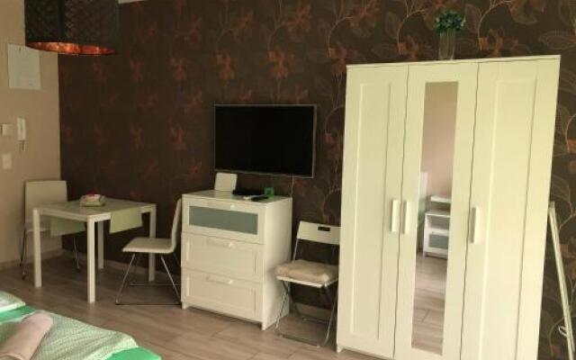 Tóparti Wellness Apartman