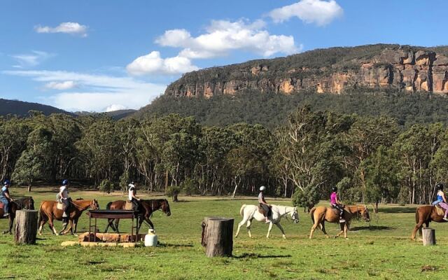 Wild In Style for Glamping