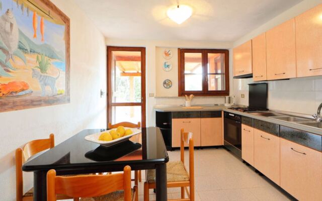 Bouganville 9878