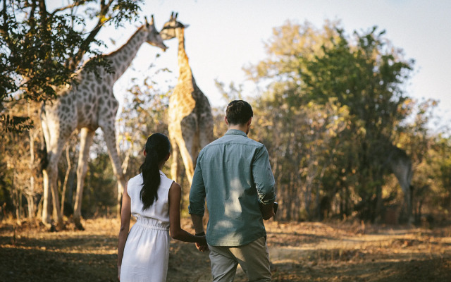 Royal Livingstone Victoria Falls Zambia Hotel by Anantara