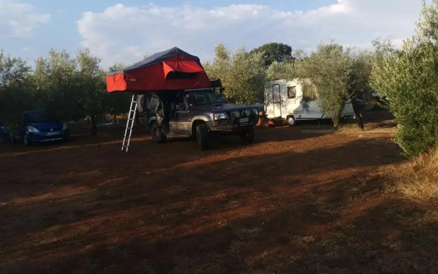 Apartman Oliva