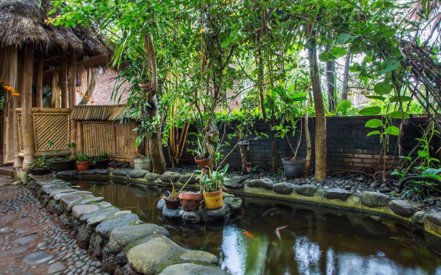 Omunity Bali