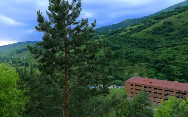 Karin Resort Aghveran - фото 4