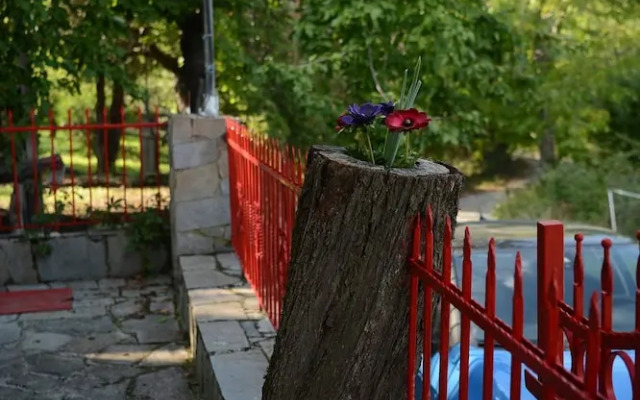 Zeusplace Valentina's House Elatochori