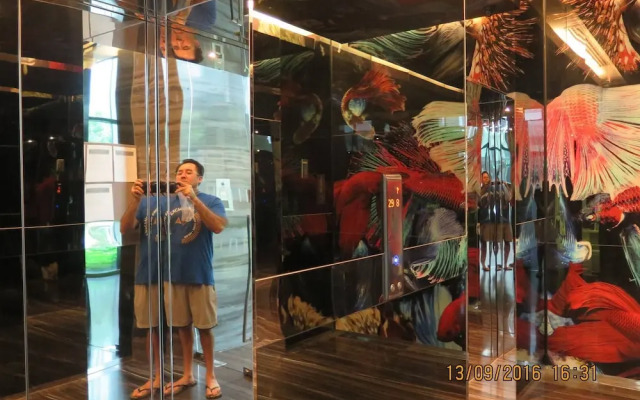 The Base Central Pattaya - 1 bdr Condo With Pool