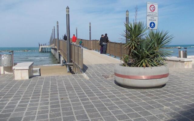 Il Ritrovo Delle Coccinelle