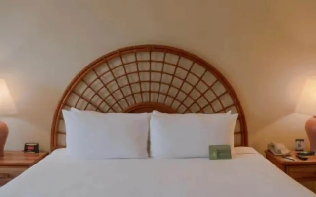 Samba Vallarta - All Inclusive