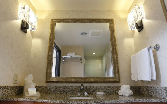 Hilton Garden Inn Cedar Falls