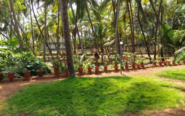 Ocean Green Kerala