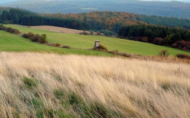 Gästehaus am Räuschenberg