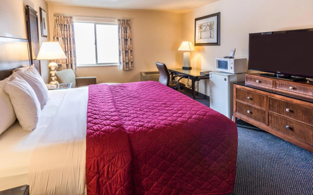 Cedars Inn