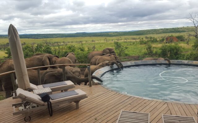 Nambiti Hills Private Game Lodge