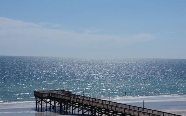 Beach Palms 409