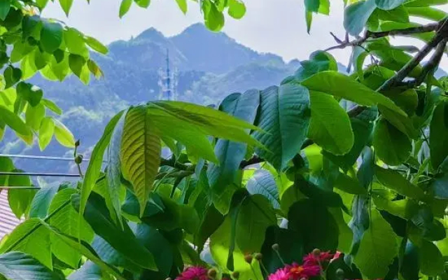 Beijing Qianyuan Courtyard