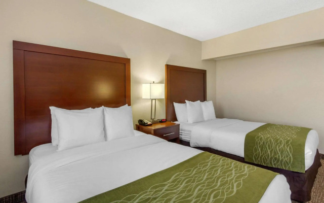 Comfort Inn St Petersburg North