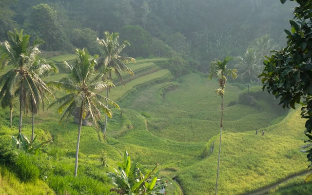 Suarapura Resort and SPA